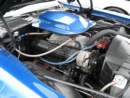 Photo Number 535